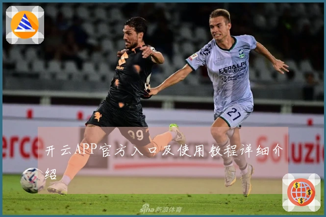 开云APP官方入口及使用教程详细介绍