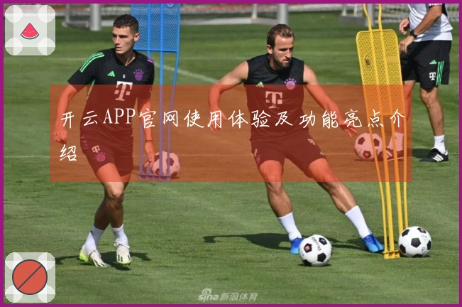 开云APP官网使用体验及功能亮点介绍